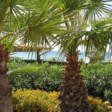 Villa Baia Di Cornino 库斯托纳奇 客房 照片