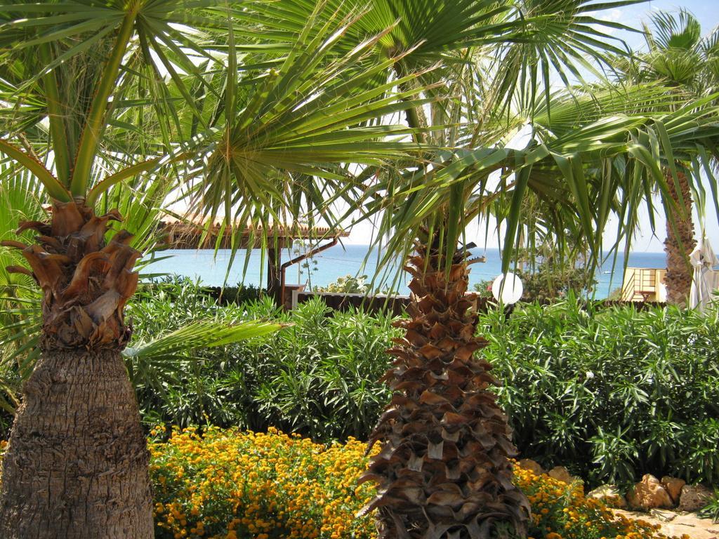 Villa Baia Di Cornino 库斯托纳奇 客房 照片