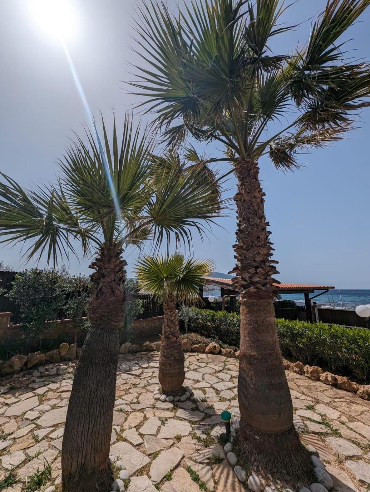 Villa Baia Di Cornino 库斯托纳奇 外观 照片